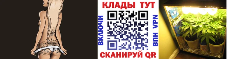 Купить ГАШ  Бошки Шишки  Cocaine  Псилоцибиновые грибы  Меф мяу мяу  Алейск
