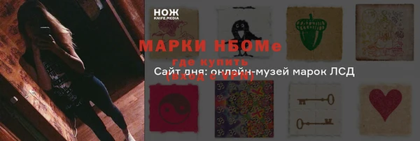 индика Абинск
