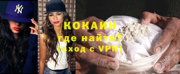 индика Абинск