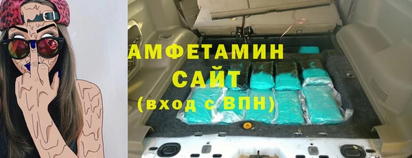индика Абинск