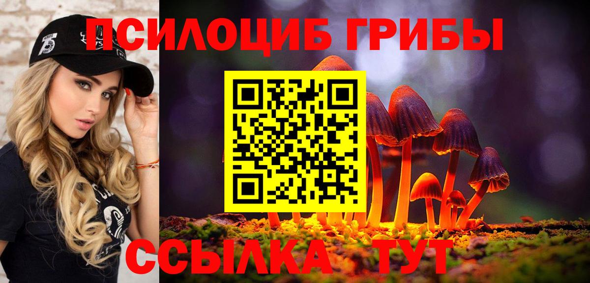 Псилоцибиновые грибы ЛСД  Вход с VPN  Алейск 