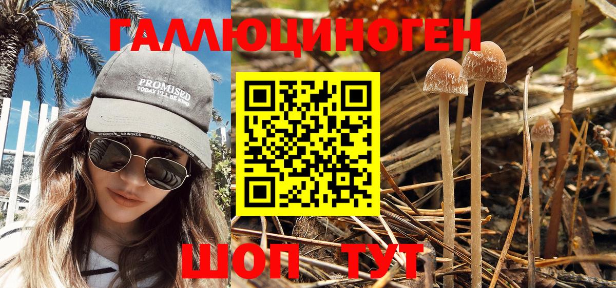 Псилоцибиновые грибы мухоморы Алейск