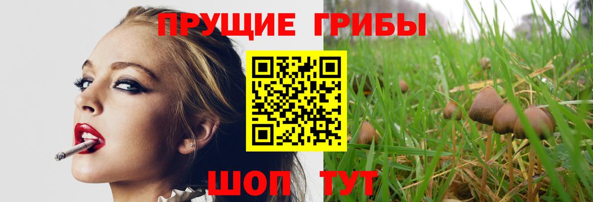 Галлюциногенные грибы GOLDEN TEACHER Алейск