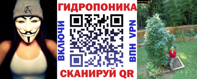 Каннабис OG Kush Купить Алейск